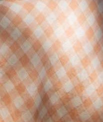 Gingham Linen Napkin set of 2