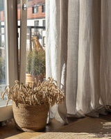 Wide Curtains in Beige, tab top